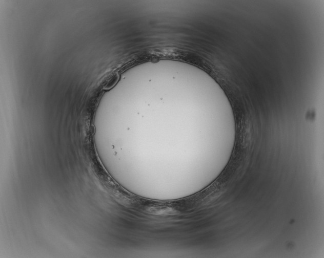 X0000112790747200909111211