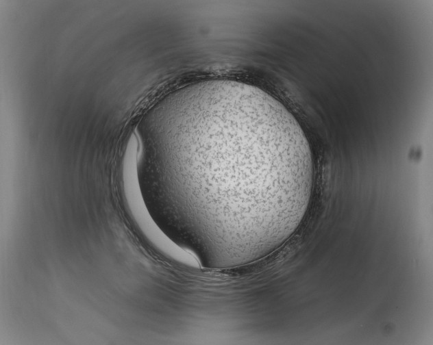 X0000112790750200909111211