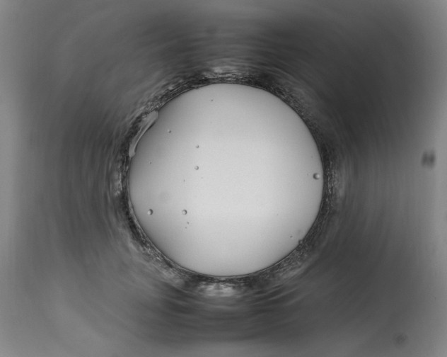 X0000112790751200909111211