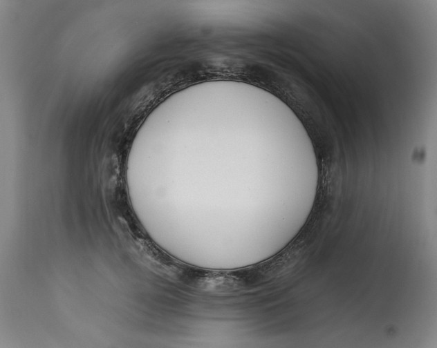 X0000112790752200909111211