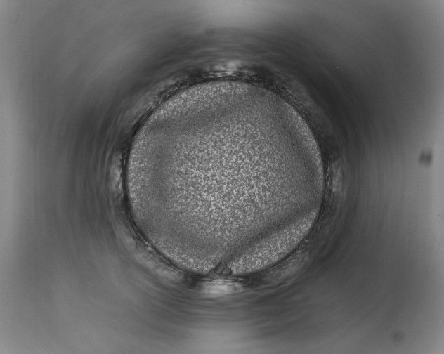 X0000112790754200909111211