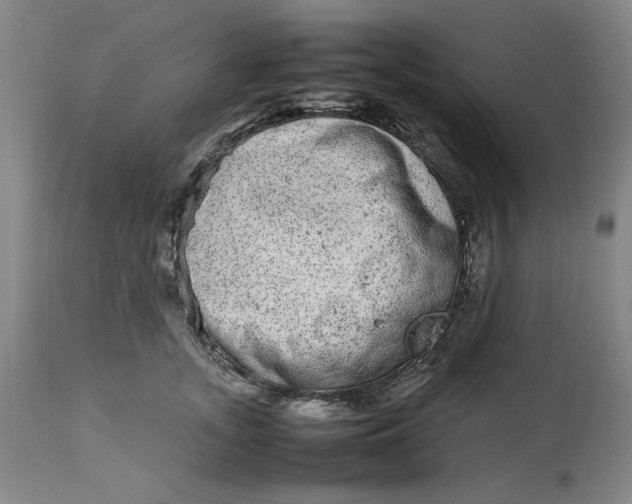 X0000112790755200909111211