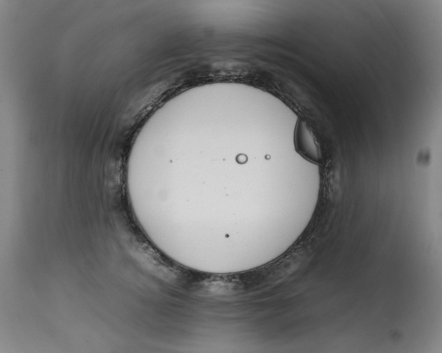 X0000112790756200909111211