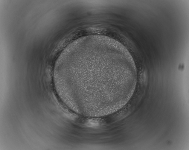 X0000112790757200909111211