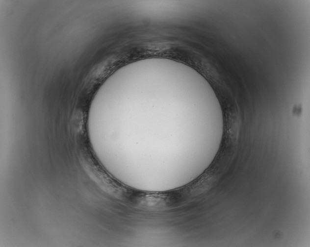 X0000112790758200909111211