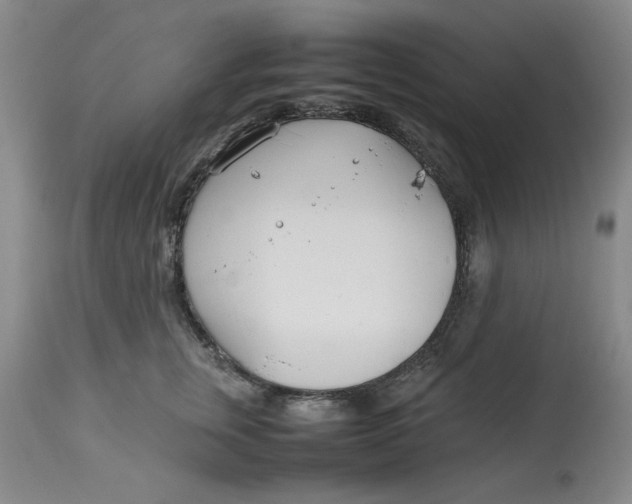 X0000112790759200909111211