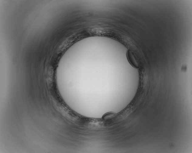 X0000112790760200909111211