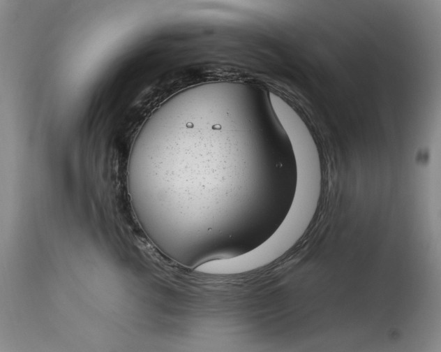 X0000112790762200909111211