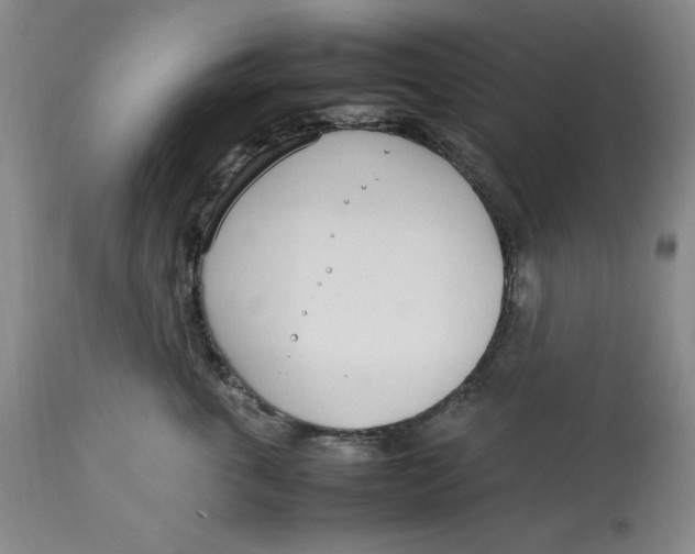 X0000112790763200909111211