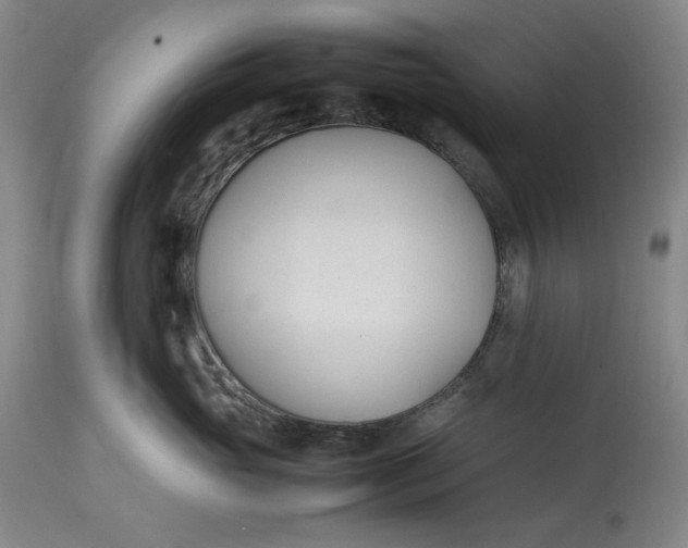 X0000112790765200909111211