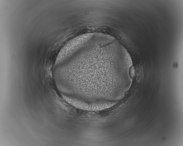 X0000112790770200909111211