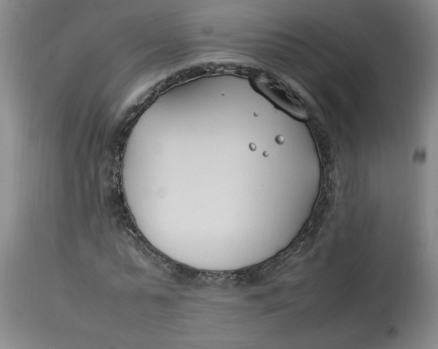 X0000112790775200909111210