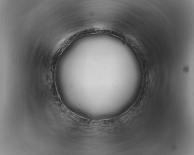 X0000112790776200909111210