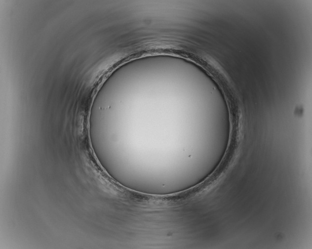 X0000112790777200909111210