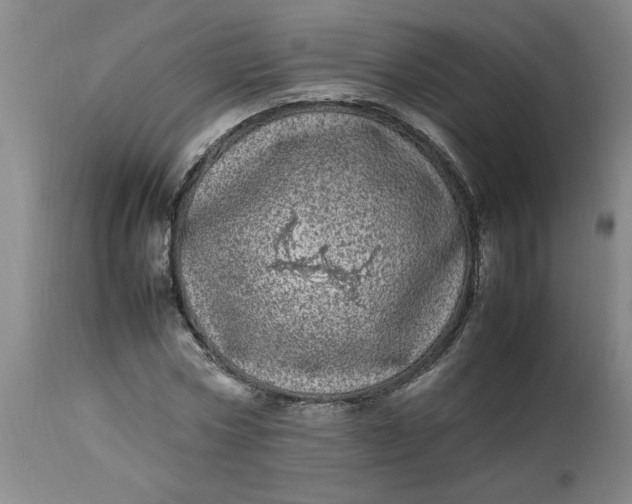 X0000112790778200909111210