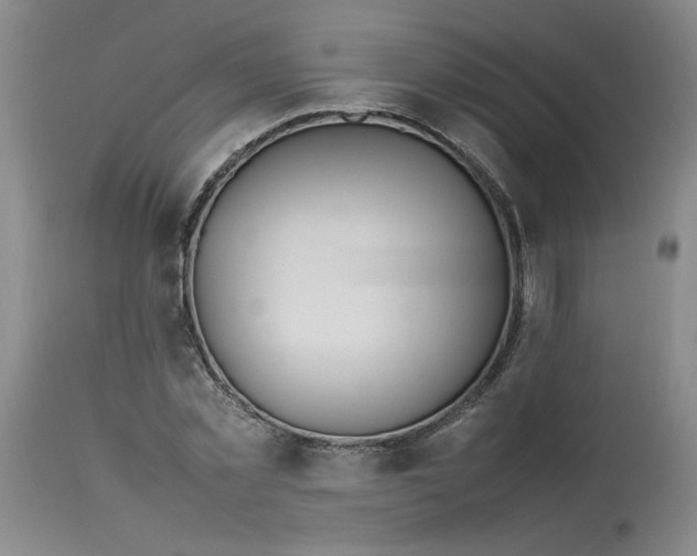 X0000112790781200909111210