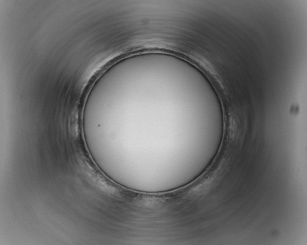 X0000112790782200909111210