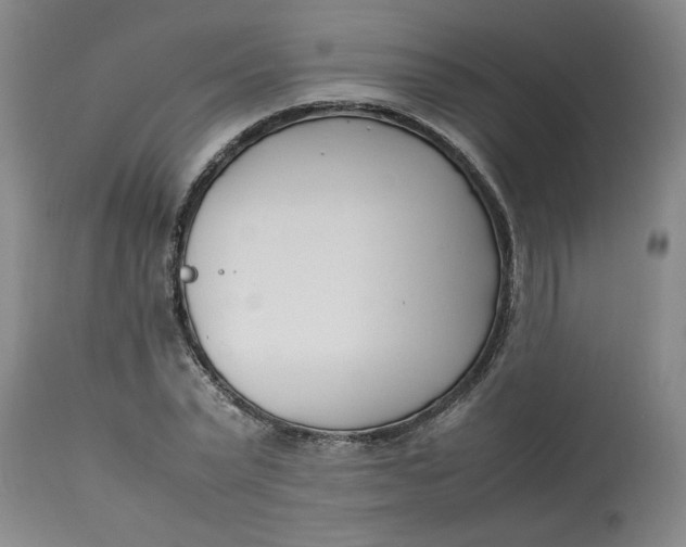 X0000112790783200909111210