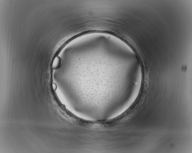 X0000112790787200909111210