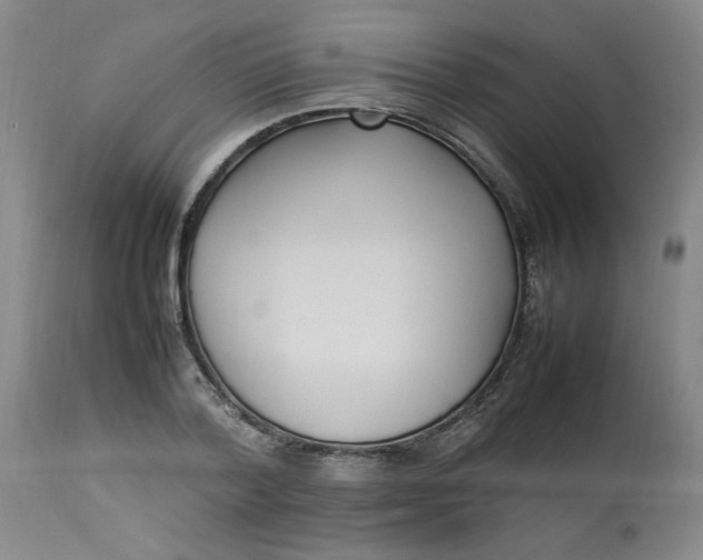 X0000112790788200909111210