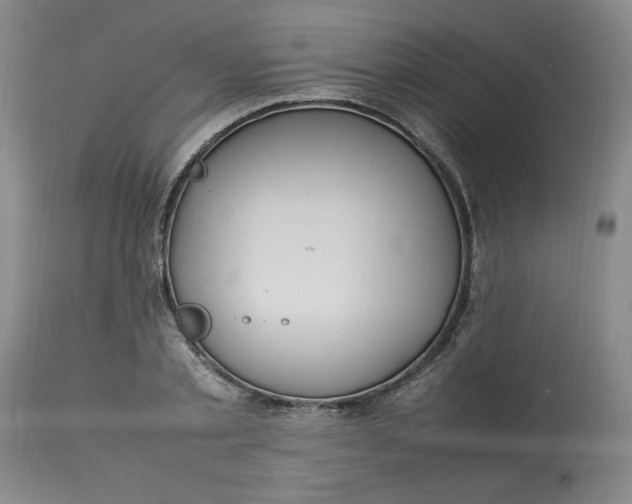 X0000112790789200909111210