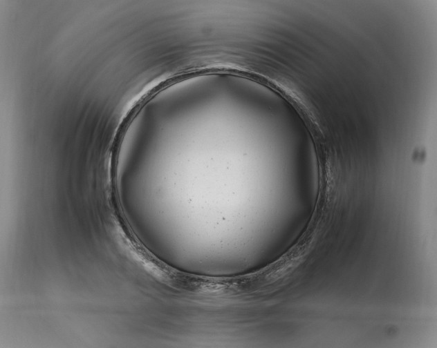 X0000112790790200909111210