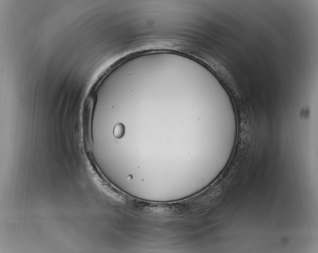 X0000112790792200909111210