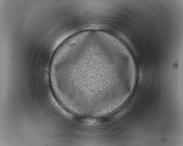 X0000112790794200909111210