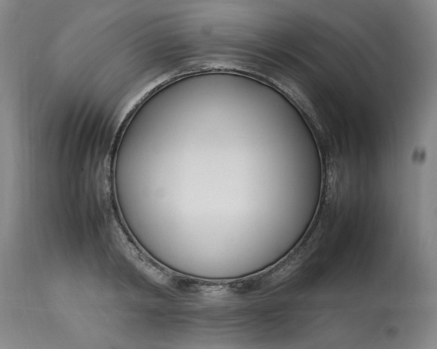 X0000112790798200909111210