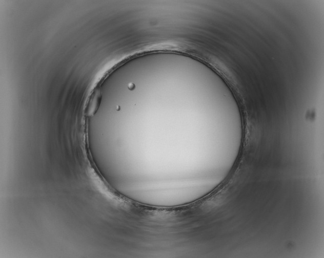 X0000112790800200909111210