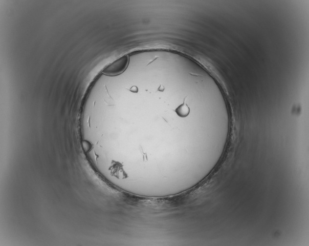 X0000112790805200909111210