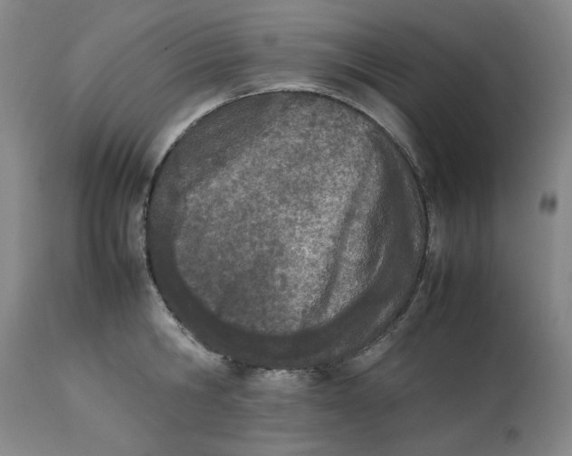 X0000112790806200909111210