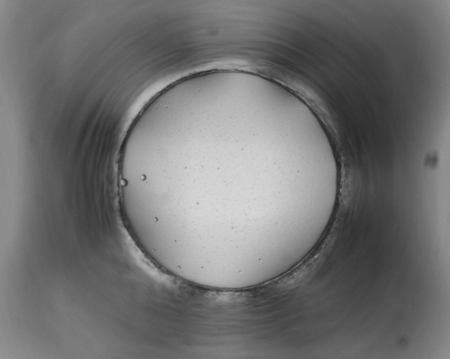 X0000112790808200909111210