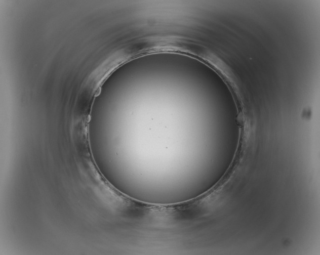 X0000112790809200909111210