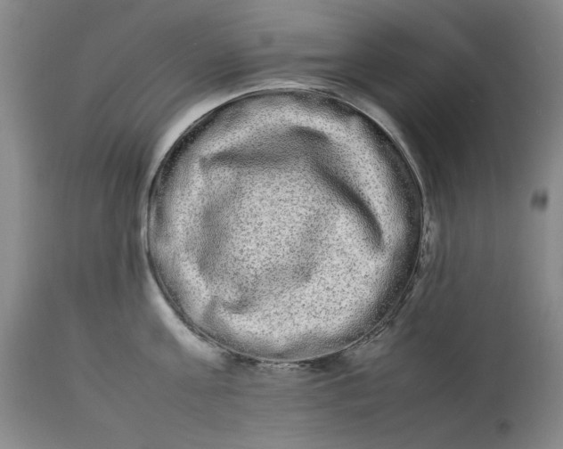 X0000112790811200909111210