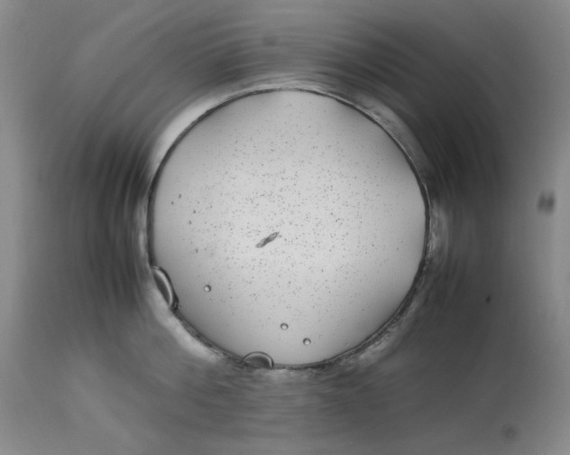 X0000112790812200909111210