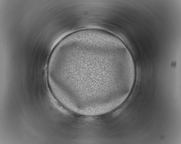 X0000112790814200909111210