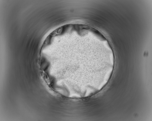 X0000112790816200909111210