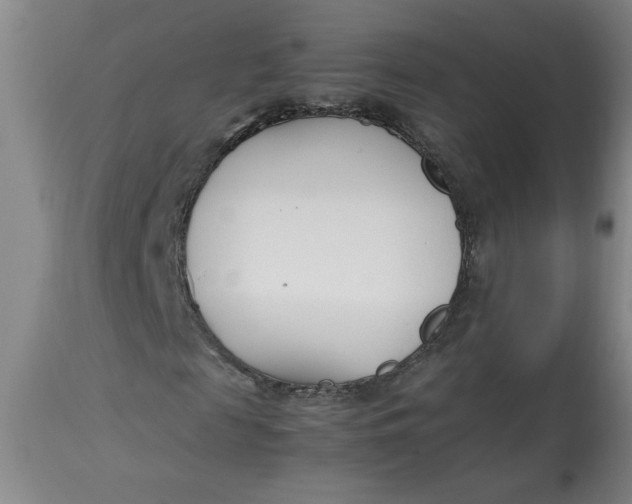 X0000112790817200909111209