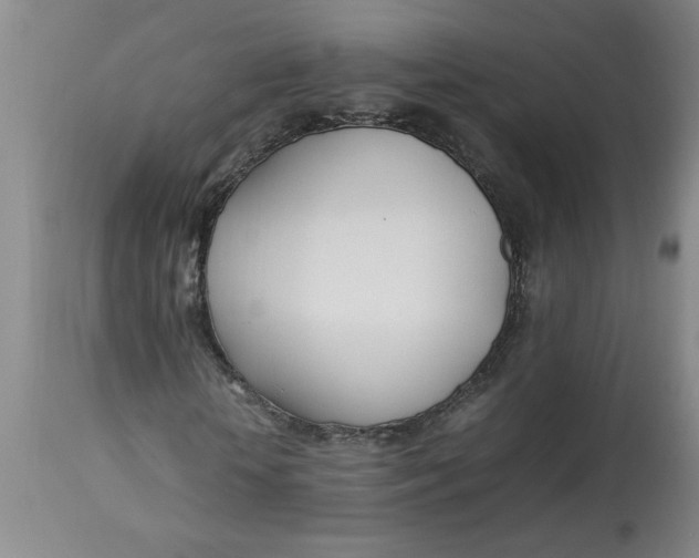 X0000112790818200909111209