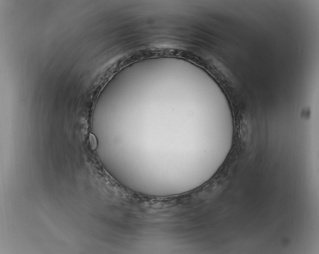 X0000112790821200909111209