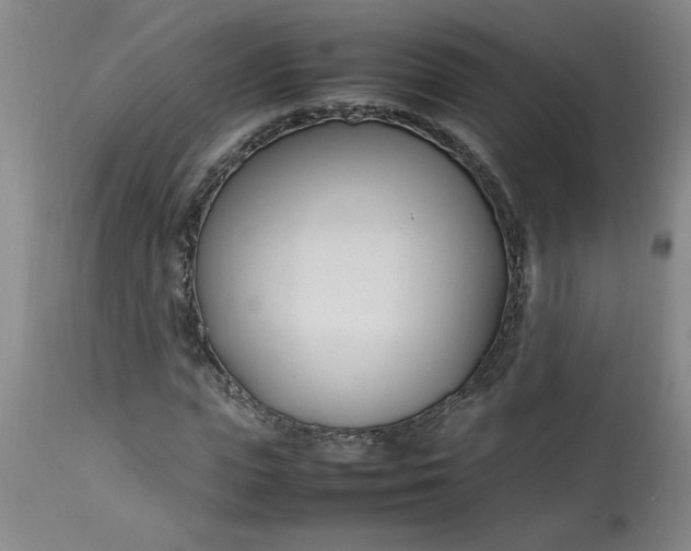 X0000112790823200909111209