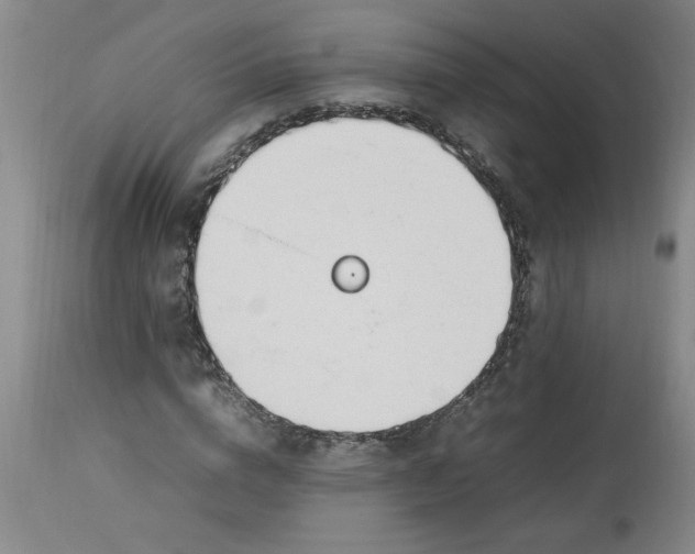 X0000112790824200909111209