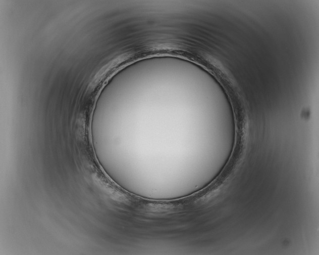 X0000112790825200909111209