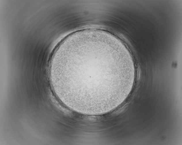 X0000112790828200909111209