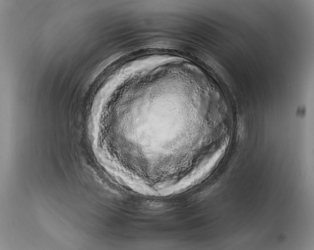 X0000112790829200909111209