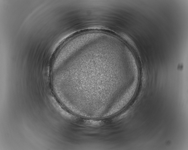 X0000112790831200909111209