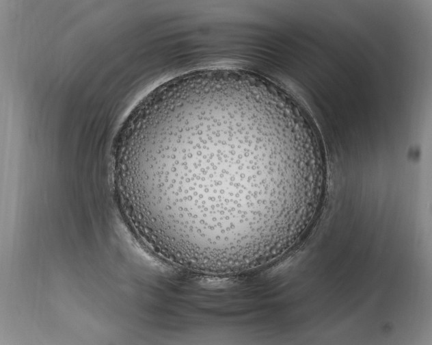 X0000112790835200909111209