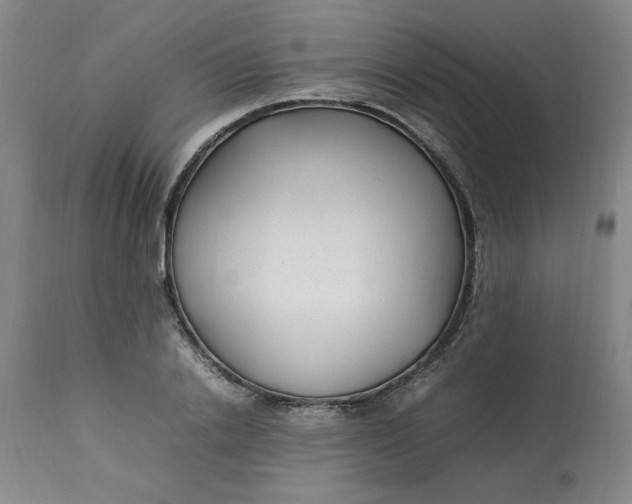 X0000112790838200909111209