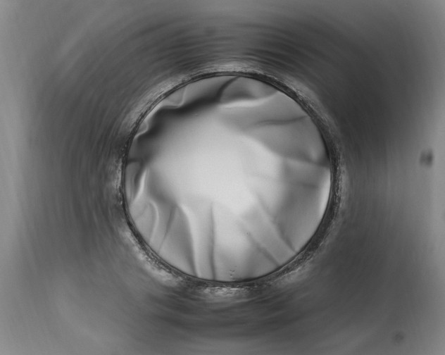 X0000112790841200909111210